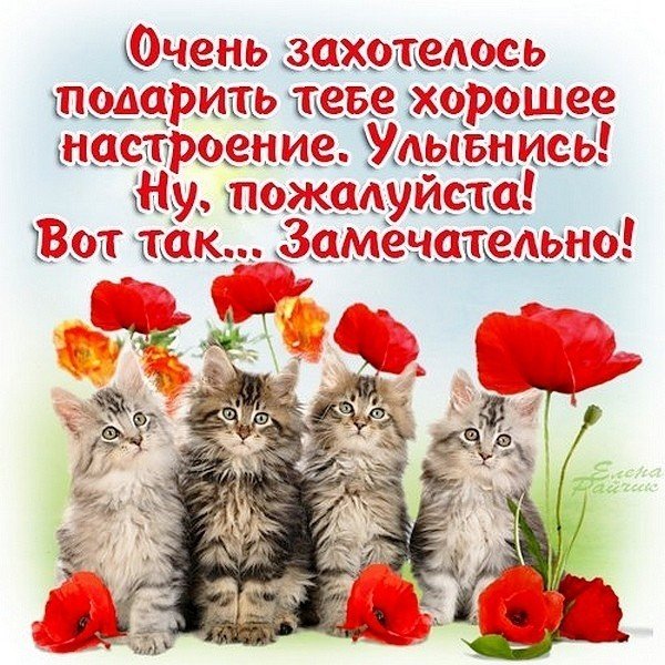 Красивые пожелания хорошего настроения
