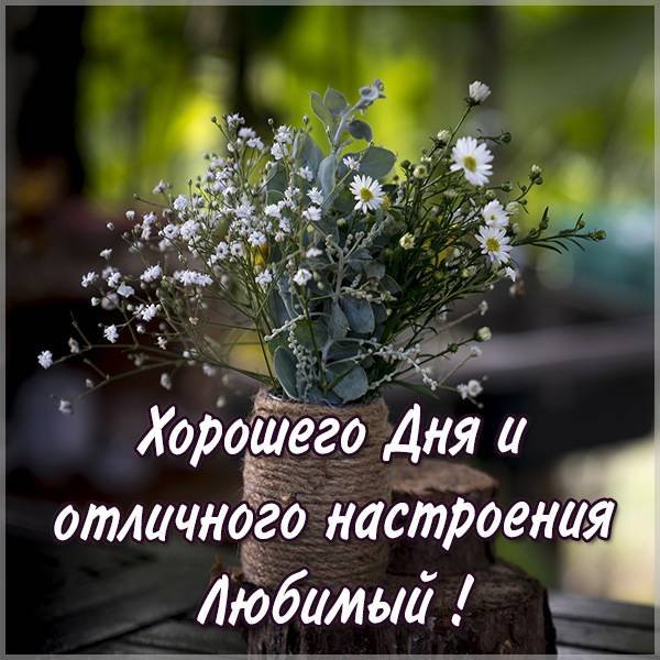 Хорошего дня любимый
