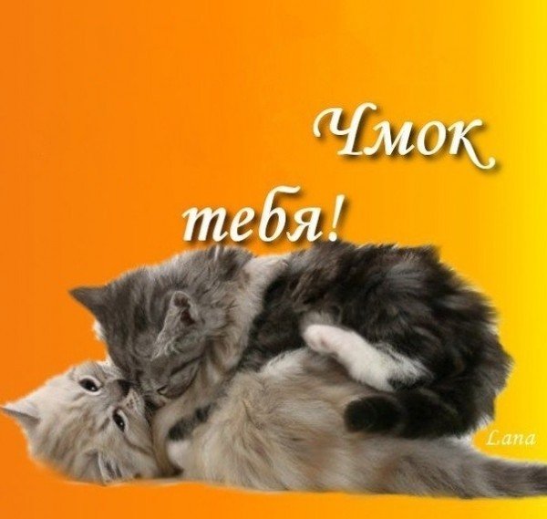 Открытка зацелую при встрече