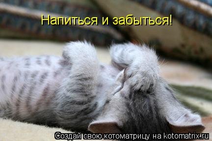 Настроение напиться и забыться