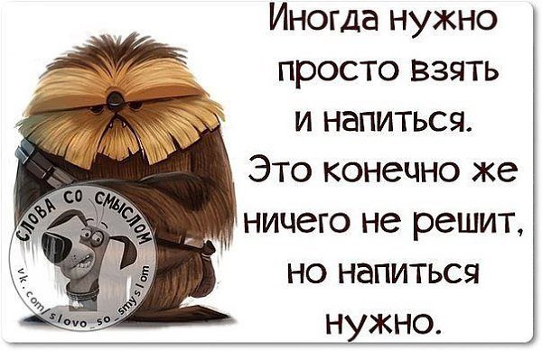 Иногда надо просто напиться