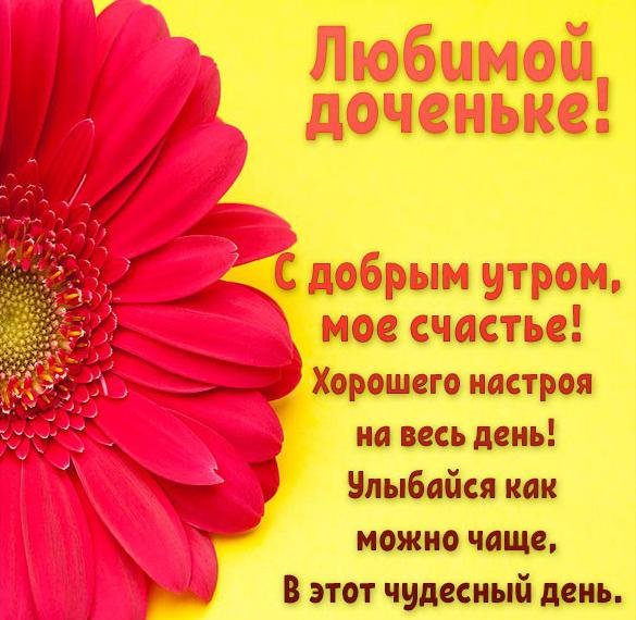Доброе утроо до Ченька