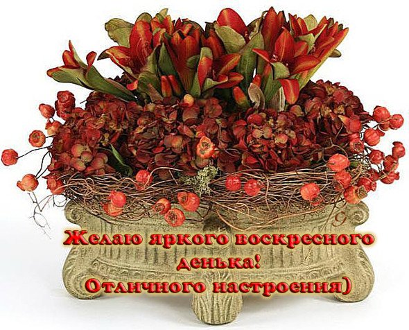 Открытки прекрасного воскресенья