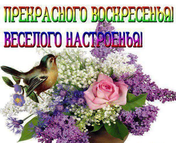 Поздравление с воскресеньем