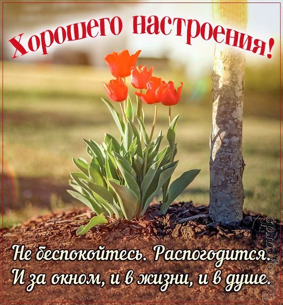 Открытка для девочки хорошего настроения