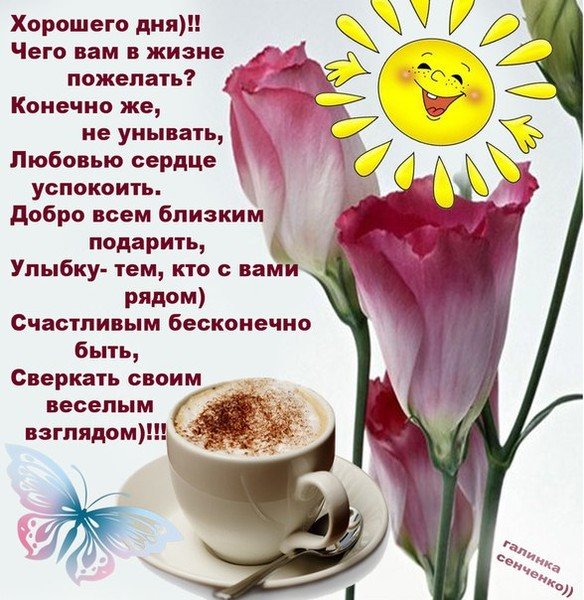 Поздравление с добрым днем