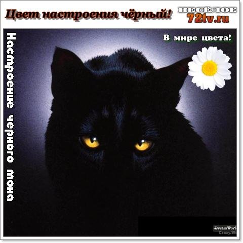 Темный цвет и настроение