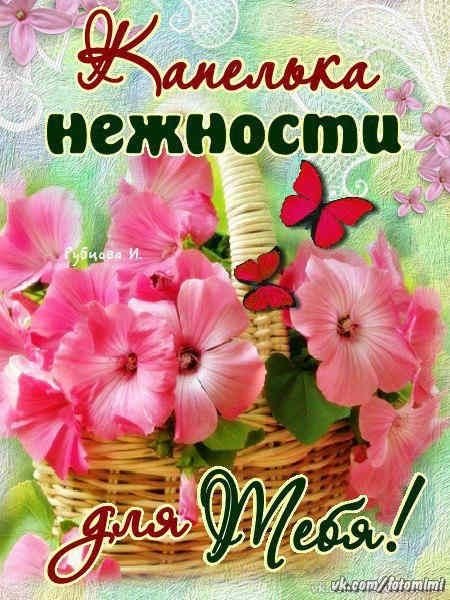 Красивые поздравления просто так