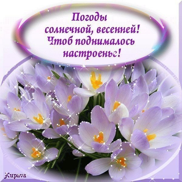 Добрых выходных и весеннего настроения