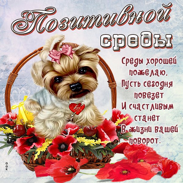 Поздравление доброго дня открытки