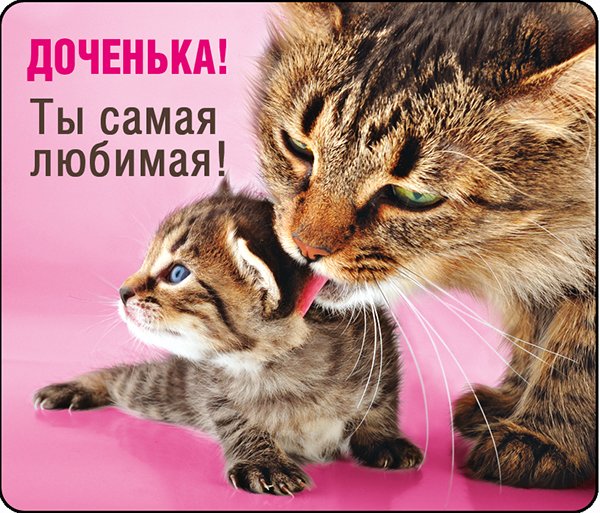 Люблю тебя доченька