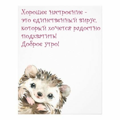 Хорошее настроение единственный вирус который хочется