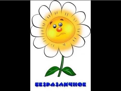 Ромашка эмоций