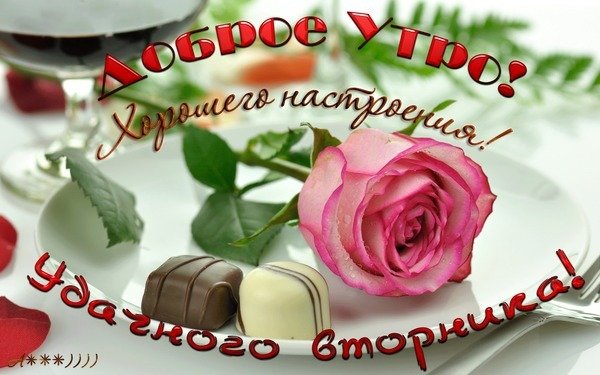 С добрым утром вторника