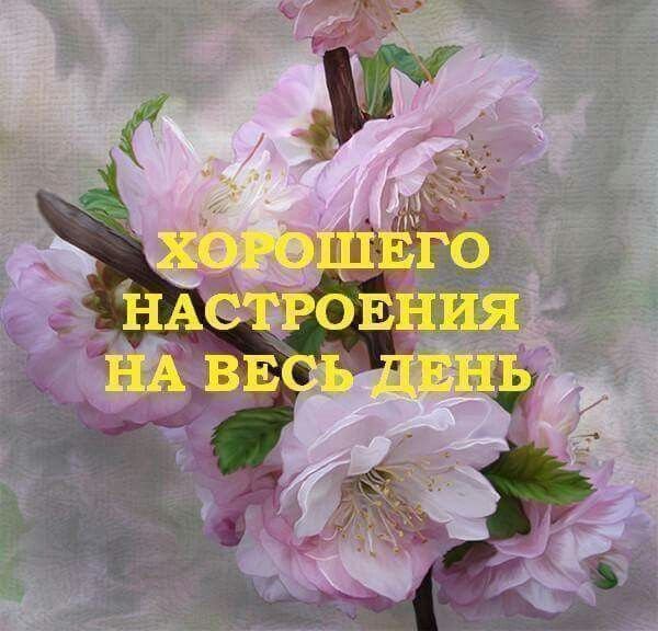 Открытки с добрым днём