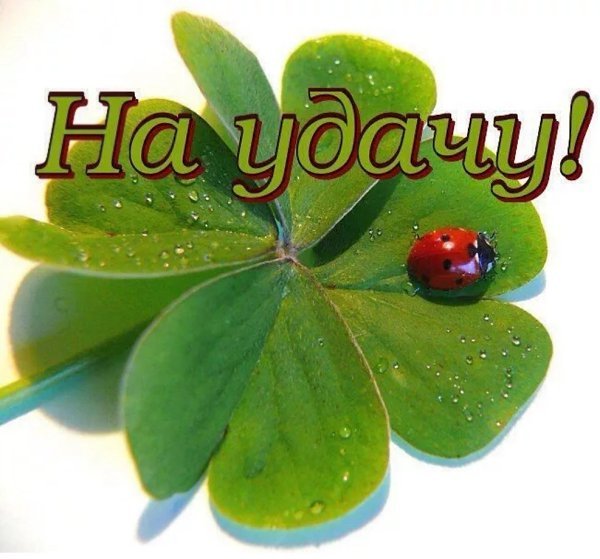 Удачи на весь день
