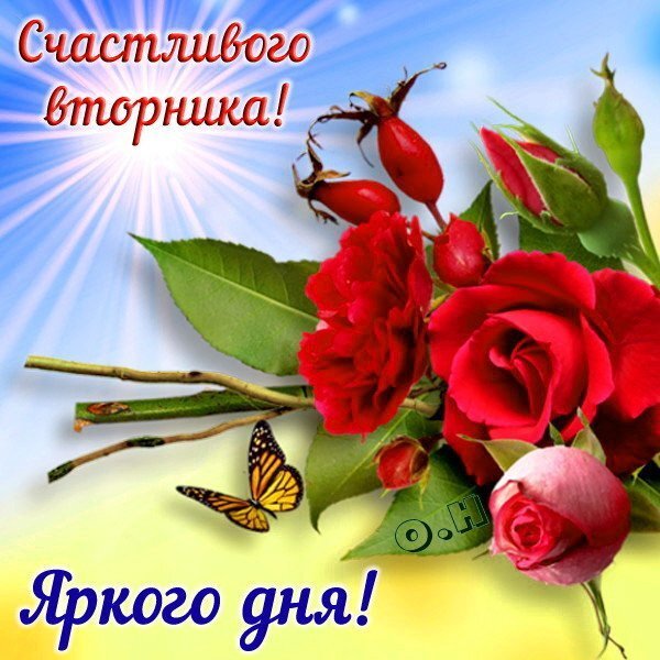 Открытки прекрасного вторника