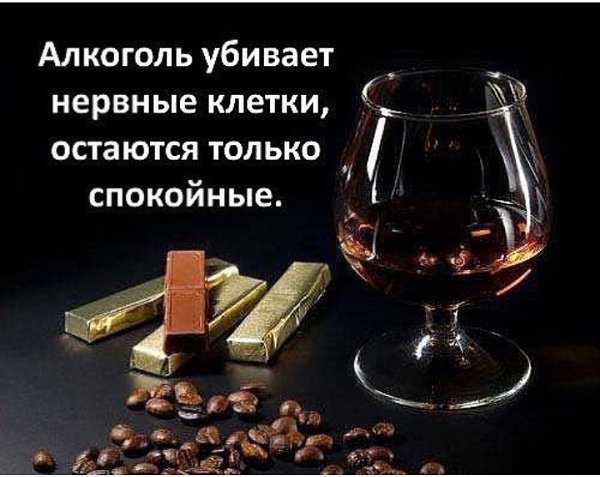 Высказывания про коньяк