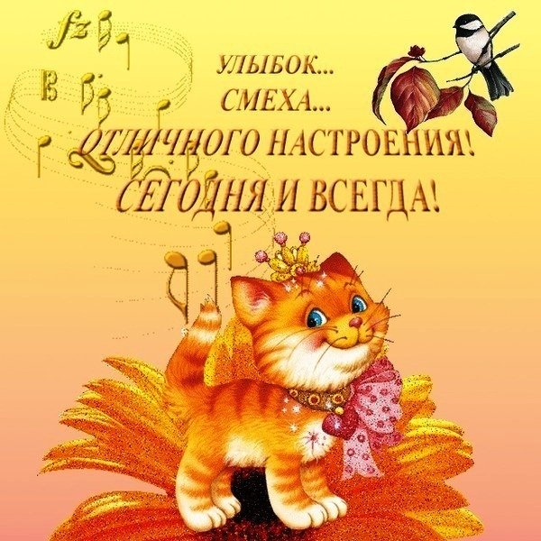 Удачного дня и хорошего настроения