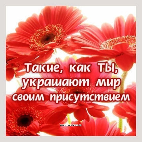 Красивые комплименты девушке