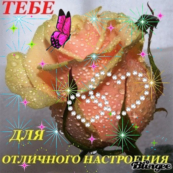 Анимационные открытки для поднятия настроения