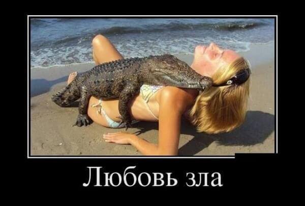 Прикольные картинки для поднятия настроения демотиваторы