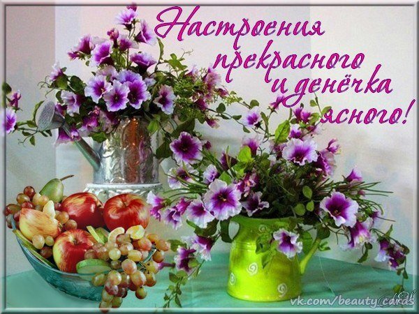 Замечательного утра и прекрасного настроения