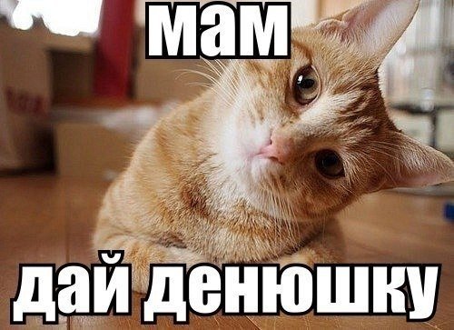 Мам дай денюшку