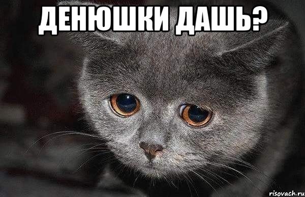 Мем котик огорчен