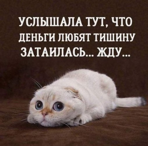 Приколы про деньги в картинках с надписями