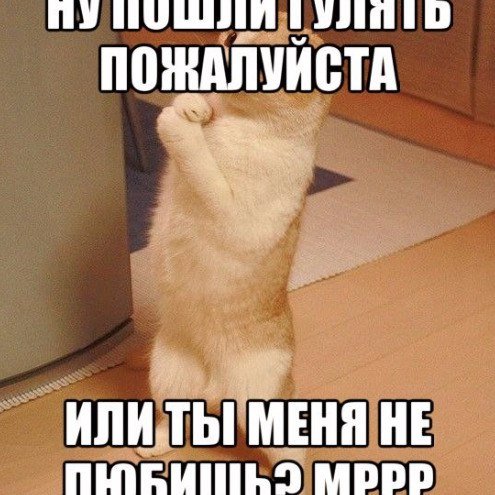Прости меня
