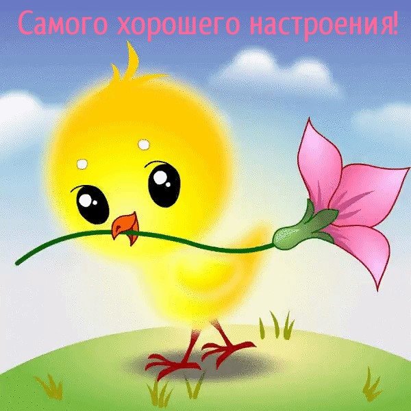 Солнечного дня и хорошего настроения прикольные