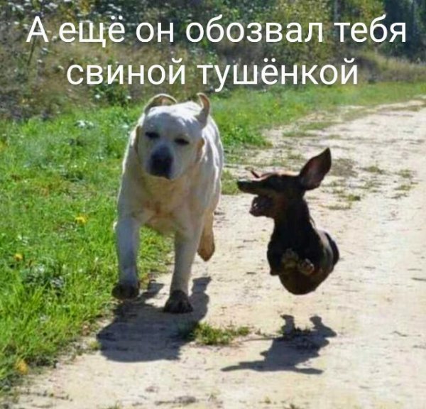 Мем для поднятия настроения подруге