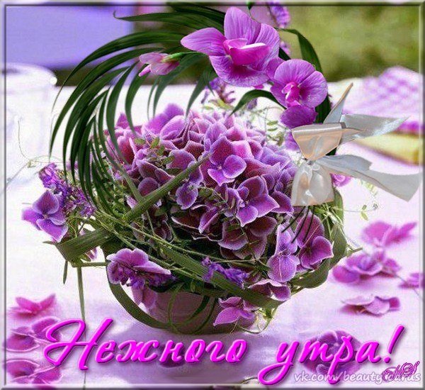 Открытка с днём рождения кума прикольная