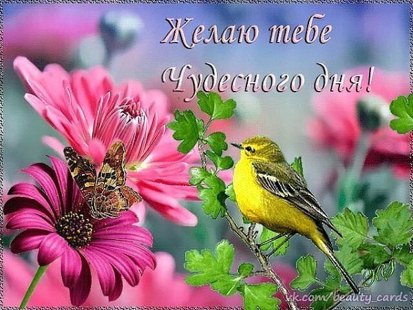 Доброго летнего денечка и отличного настроения