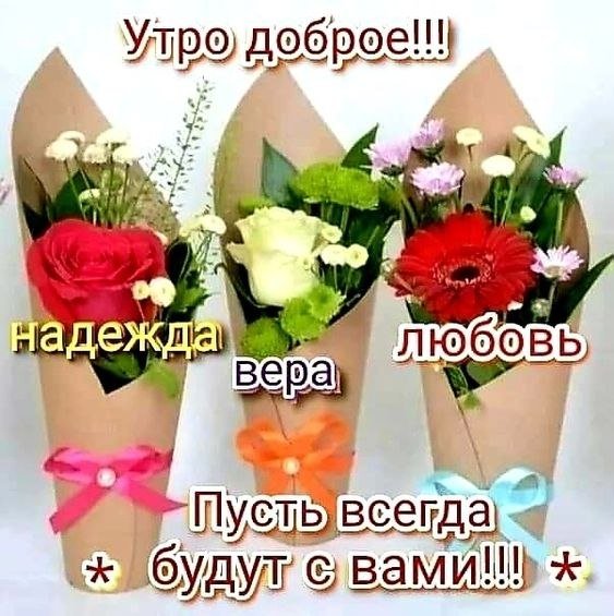 Доброе утро Вера Надежда любовь