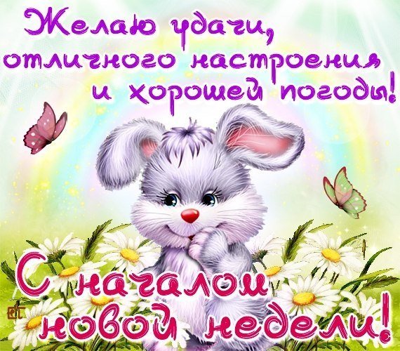 Хорошей недели и отличного настроения
