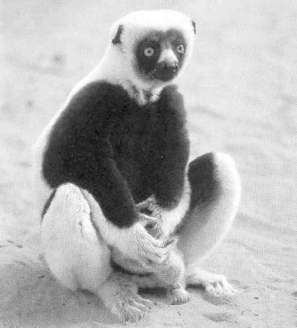 Нет настроения цитаты