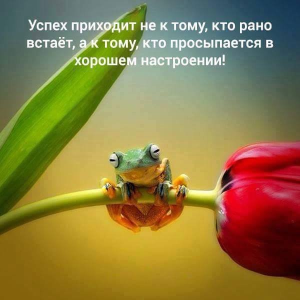 Высказывания про настроение