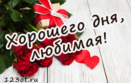 Хорошего дня любимая