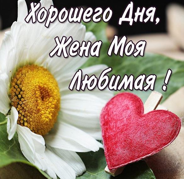 Хорошего дня любимая