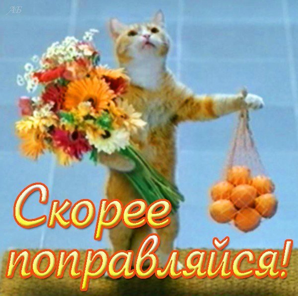 Открытки выздоравливай скорее