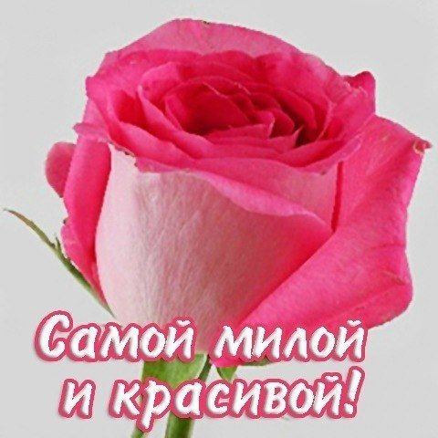 Тебе для настроения
