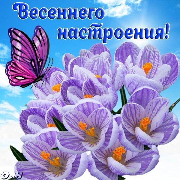 Отличного весеннего настроения