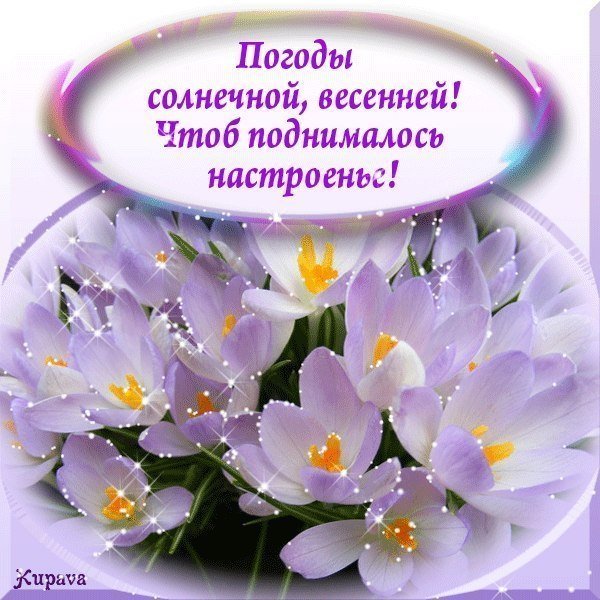 Доброго весеннего дня
