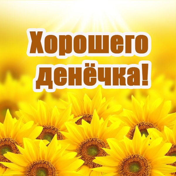 Хорошего денечка