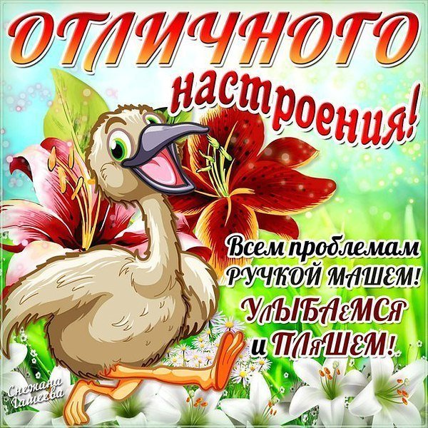 Пожелания отличного настроения