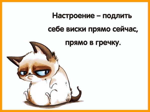 Настроение виски прямо в гречку
