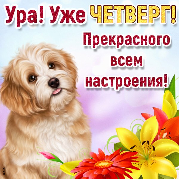 Приятного четверга открытки