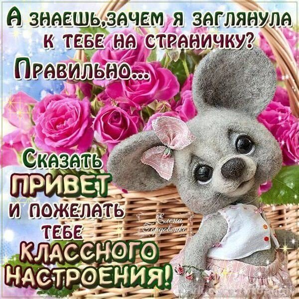 Открытки привет